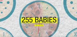【毎分２５５人の赤ちゃんが誕生！】地球上で一分ごとに起っていることとは……！？