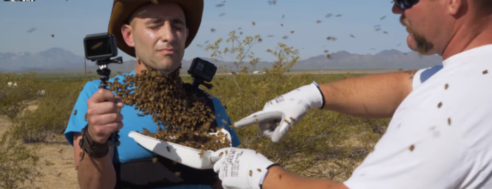 「ミツバチはむやみに人を襲わない」検証してみた結果、大変なことに……！！