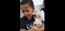 犬を抱きしめた男の子が泣いているのはなぜ？ その理由に感動……