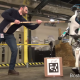 二足歩行ロボットはここまで来ている！ 驚くべき進化を遂げた「Atlas」が健気で凄い…！