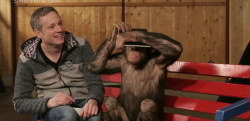 興味津々！ iPadマジックを見たチンパンジーの反応が微笑ましい！