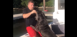 【ハプニング】船上で愛犬におやつをあげようとした結果、大変なことに……！？